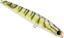 BASSDAY SUGAPEN LURE 70mm - HF119