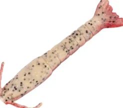BERKLEY GULP SHRIMP LURE 2 INCH - Red Belly Shrimp