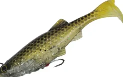 BIWAA KAPSIZ KAST HD 6 INCH LURE - 92 - Ghost Carp