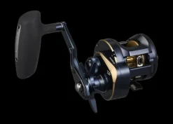 DAIWA 25 SALTIGA 300H OVERHEAD REEL