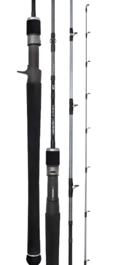 DAIWA 20 TD SALTWATER BJ66-1.5 OVERHEAD ROD