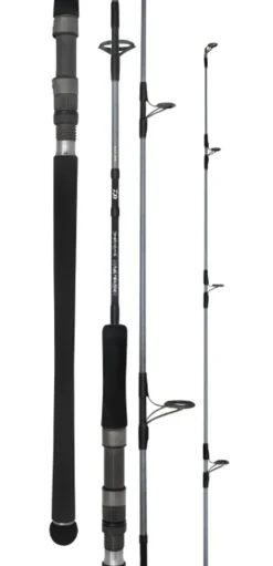DAIWA 20 TD SALTWATER SJ66-1.5 SPIN ROD