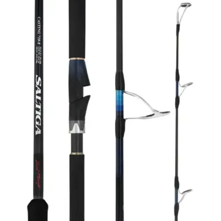 DAIWA SALTIGA BREAK THROUGH C710-8 SPIN ROD
