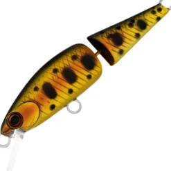 DAIWA SILVERCREEK DR MINNOW JOINT 70F LURE - Cali Golden