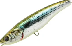 LITTLE JACK FORMA HEADS 105mm LURE - 03 - Olive Bait