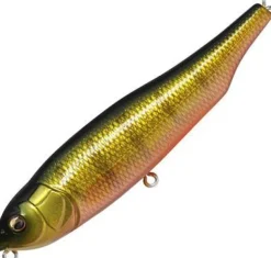 MEGABASS GIANT DOG X LURE - GG Perch