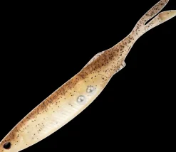 NOMAD LIVE OPS FALLOUT MINNOW LURE 4.25 Inch - ARKSH - Arkansas Shiner