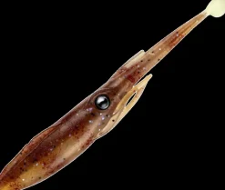 NOMAD LIVE OPS JERKSQUID LURE 5 Inch - BLTGR - Blood Tiger