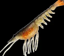 NOMAD LIVE OPS SWITCHER SHRIMP LURE 5 Inch - BLAG - Black and Gold