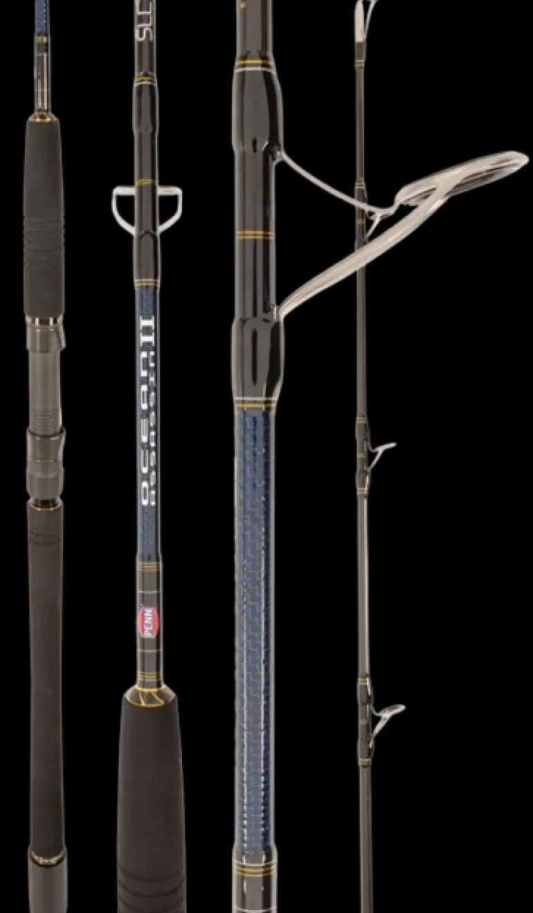 PENN OCEAN ASSASSIN II 591H SPIN ROD