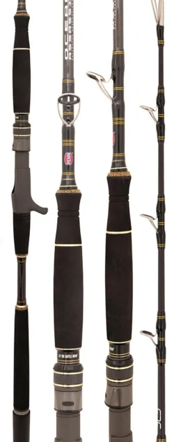 PENN OCEAN ASSASSIN 501MHOH JIG OVERHEAD ROD