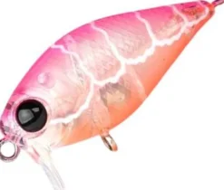 PRO LURE XS36 CRANK LURE XTRA SHALLOW 36mm CS - Candy Shrimp