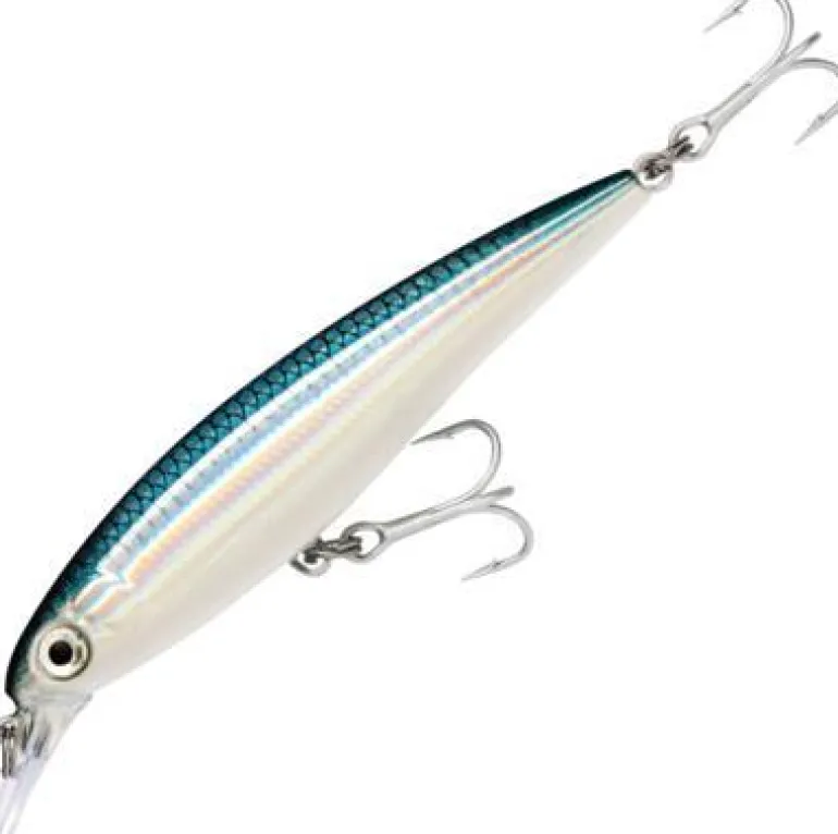 RAPALA X-RAP SALTWATER SXR12 LURE BFH - Baitfish