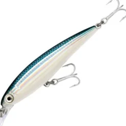 RAPALA X-RAP SALTWATER SXR10 LURE BFH - Baitfish