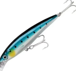 RAPALA X-RAP SALTWATER SXR8 LURE BSRD - Blue Sardine
